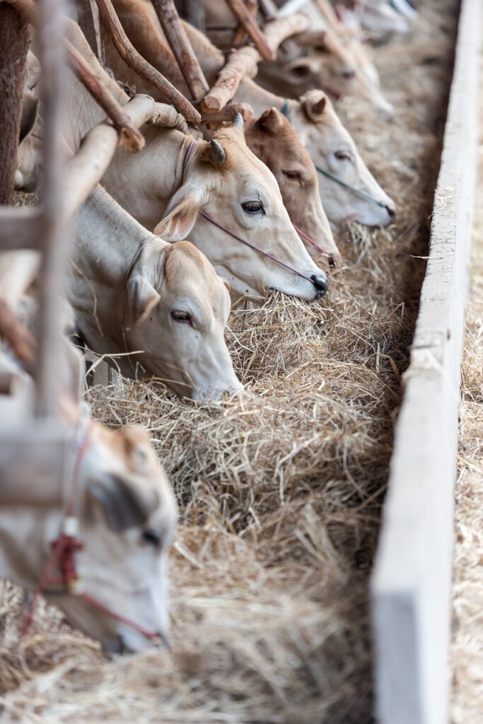 ホットケーキミックスを使った牛乳なしの簡単レシピは？