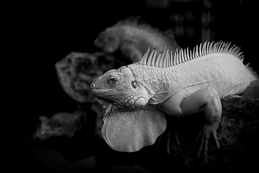 ホットケーキにヨーグルトを使ったヘルシーなレシピは？