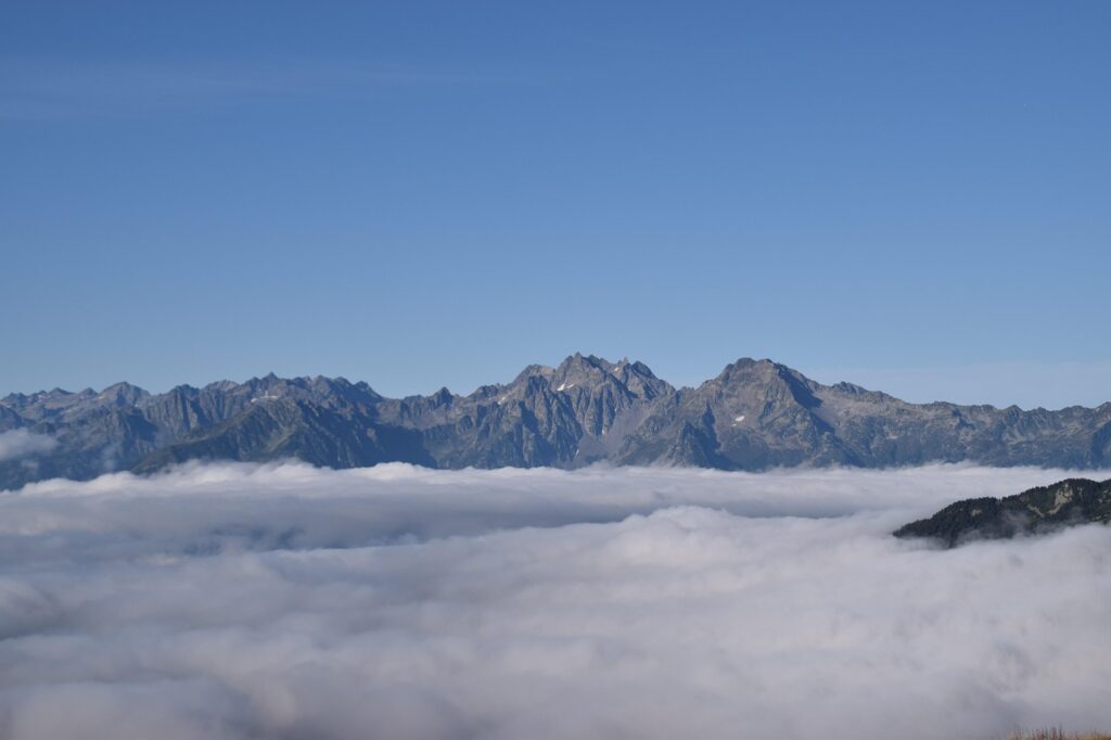 ホットケーキミックスを使ったマドレーヌの代用レシピは？