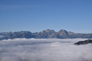 ホットケーキミックスを使ったマドレーヌの代用レシピは？